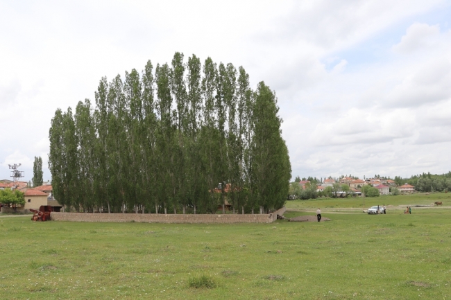 Evi çevreleyen ağaçlar kale suru gibi